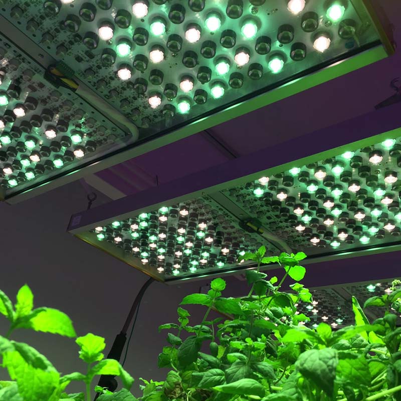 دلایل استفاده از پروژکتور رشد گیاه - رایان نور